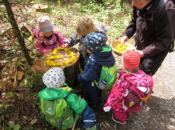 Waldkinder legen ein Herz aus Blüten