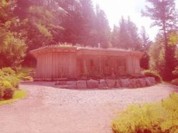 Holzhütte im Wald